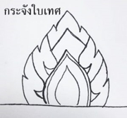 Picture5